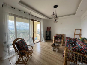 Green skyline - 2-bed condo in the heart of Nairobi